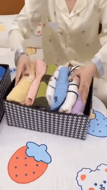 Multifunctional Foldable Clothes Organizer for Closet